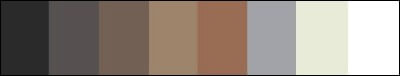 There are just eight colors to choose from DermMatch colors