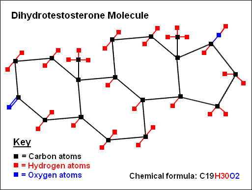 Dihydrotestosterone molecule