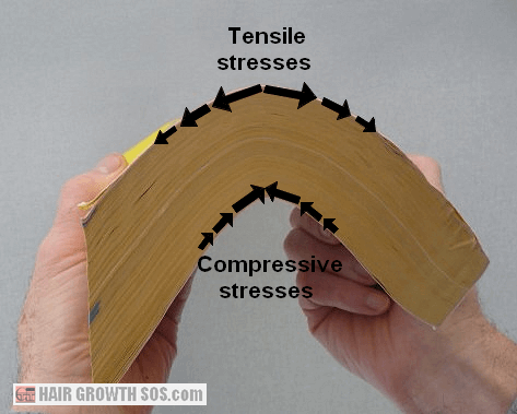 Tensile and compressive stresses when bending a phone book